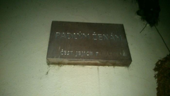 padlym_zenam-01