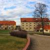 ctenice-03