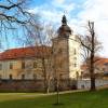 ctenice-17