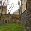 ctenice-26