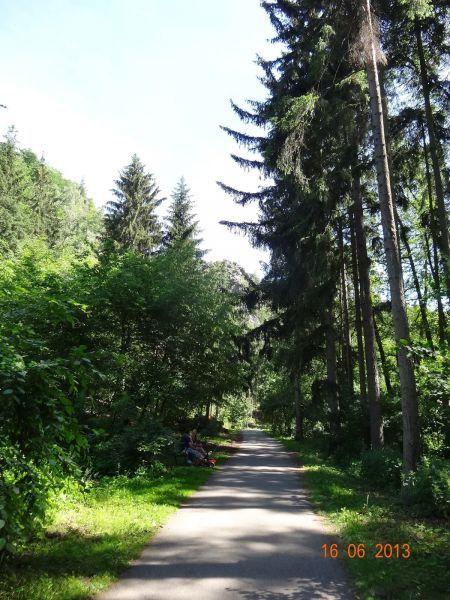 divoka-sarka-14