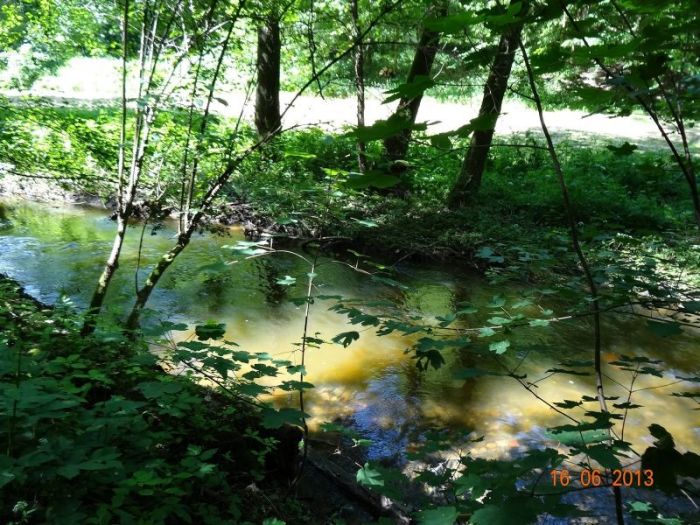 divoka-sarka-26