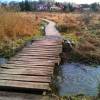 hostavice_v_zime-09 hostavice_v_zime-09