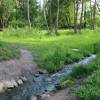hostavicka_priroda-20 hostavicka_priroda-20