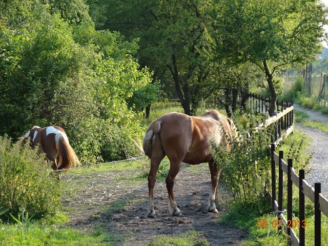 dolni_pocernice-02