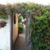 dolni_pocernice-07