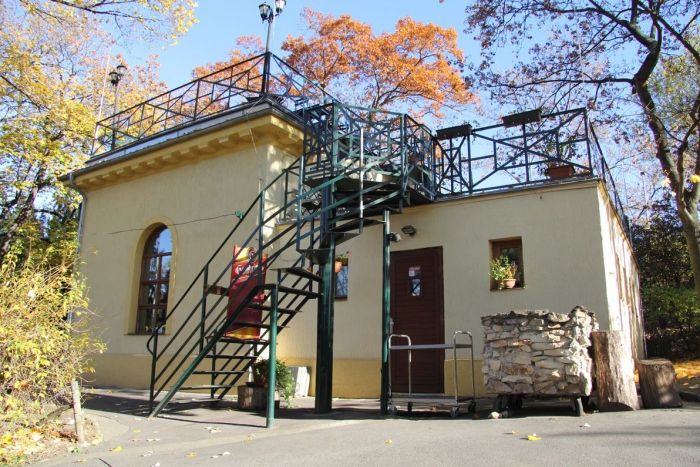 IMG_0226