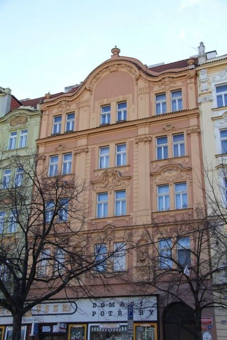 nusle (11)