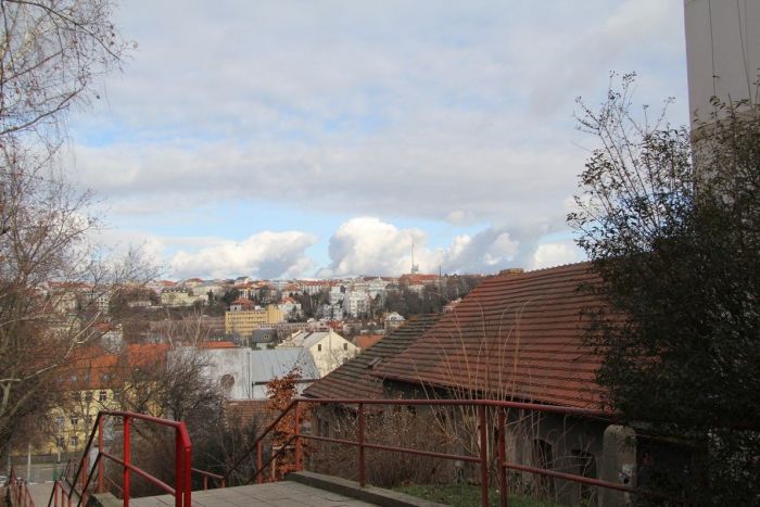 nusle (15)