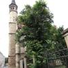 od_apolinare_ke_slupi-21 od_apolinare_ke_slupi-21