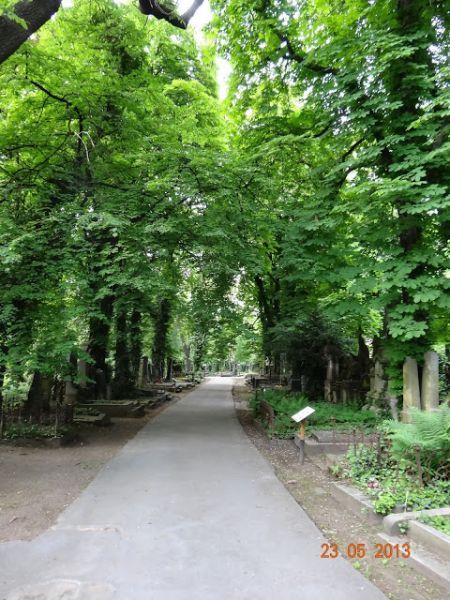 olsanske_hrbitovy-09