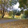 prosek_park_pratelstvi-72