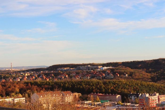 safranka-04
