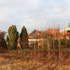 sidliste-bohnice-rekordy-20 sidliste-bohnice-rekordy-20