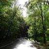 stare_bohnice-17 stare_bohnice-17