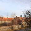 stare_dablice-13 stare_dablice-13