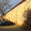 stare_dablice-37 stare_dablice-37