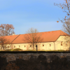 stare_dablice-39 stare_dablice-39