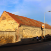 stare_dablice-40 stare_dablice-40