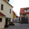 stare_dablice-41 stare_dablice-41