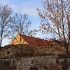 stare_dablice-44 stare_dablice-44