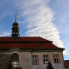 stare_dablice-47 stare_dablice-47