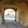 stare_dablice-49 stare_dablice-49