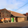 stare_dablice-51 stare_dablice-51