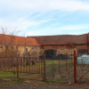 stare_dablice-54 stare_dablice-54