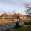 stare_dablice-55 stare_dablice-55