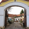 stare_dablice-58 stare_dablice-58