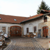 stare_dablice-59 stare_dablice-59