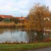ves_brezineves-25 ves_brezineves-25
