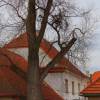 ves_brezineves-29 ves_brezineves-29
