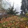 vilova_ctvrt_na_hradebnich_bastach-38 vilova_ctvrt_na_hradebnich_bastach-38