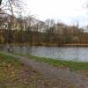vilovy-motol-15 vilovy-motol-15