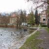 vilovy-motol-16 vilovy-motol-16