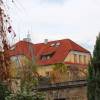 vilovy-motol-22 vilovy-motol-22