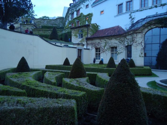 vrtbovka zahradaDSC07504