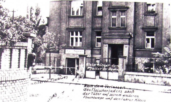 anthropoid3