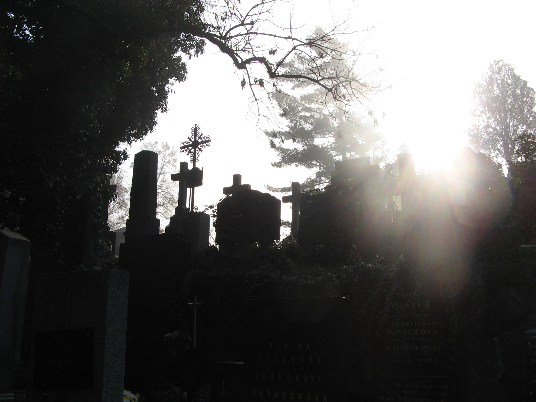 Vyšehradský hřbitov s prohlídkou Slavína- mimořádný a poslední vstup do hrobky