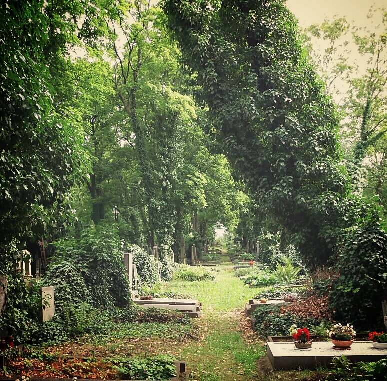 Hřbitov na Malvazinkách