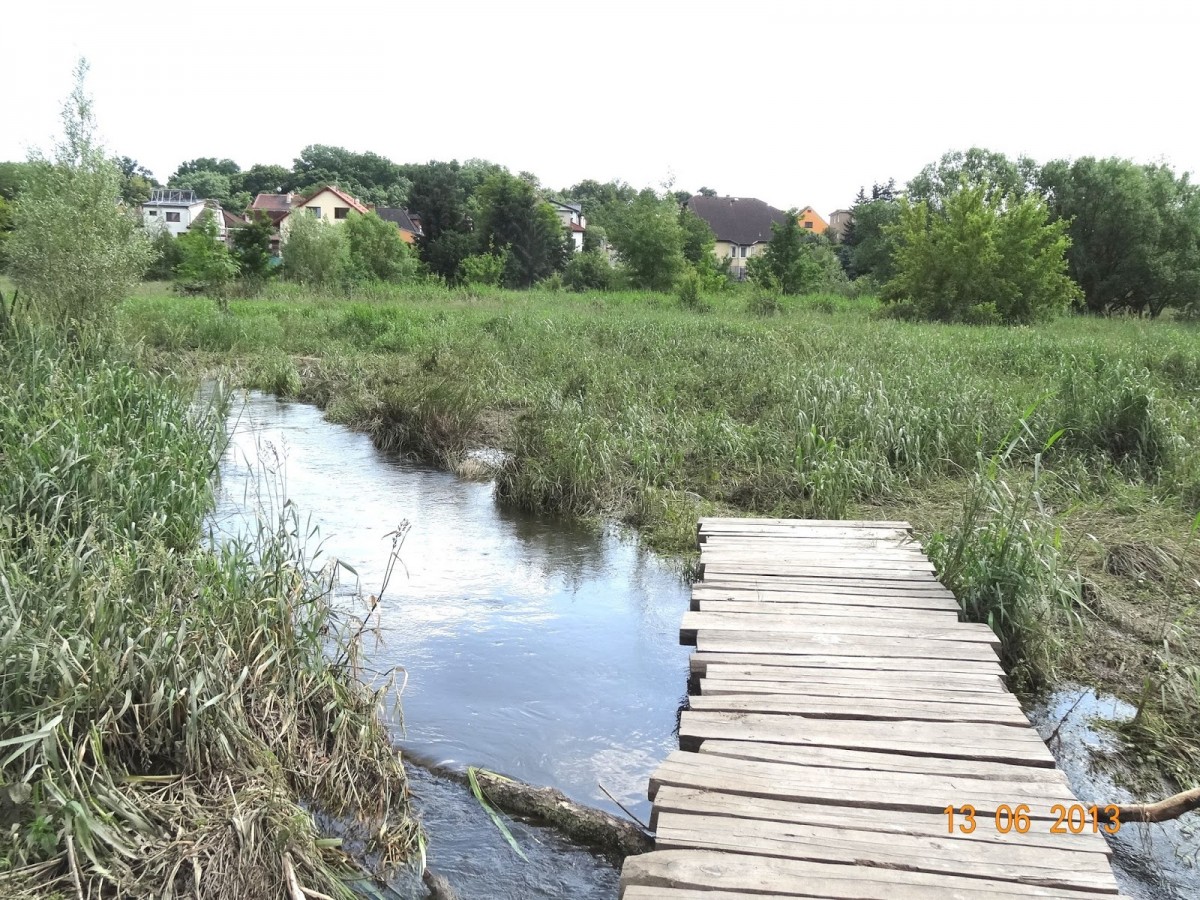 Path through wetlands and Rokytka - after floods washed away
