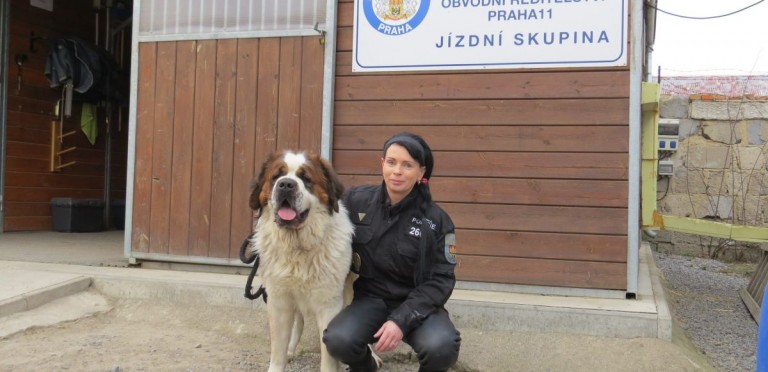 V řadách policie Prahy 11 stanul bernardýn