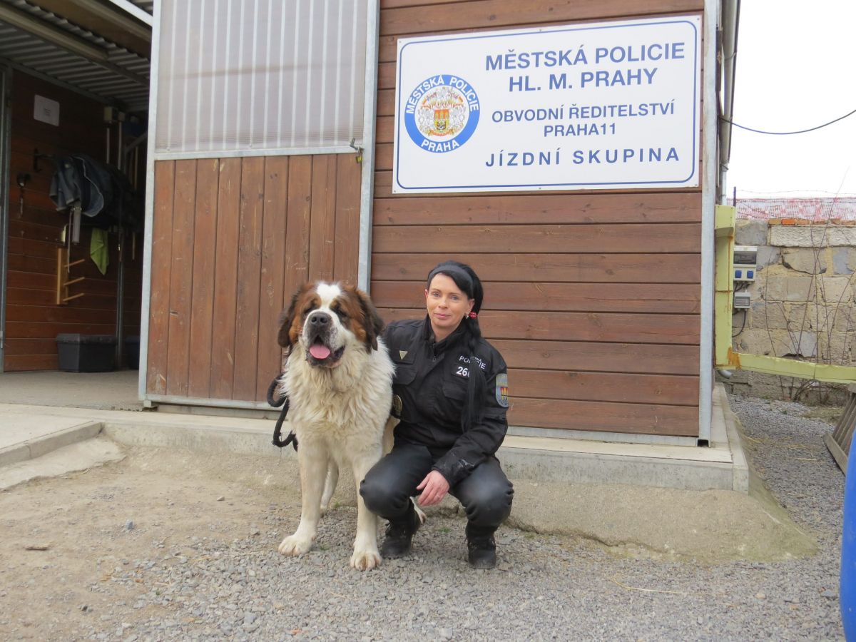 V řadách policie Prahy 11 stanul bernardýn