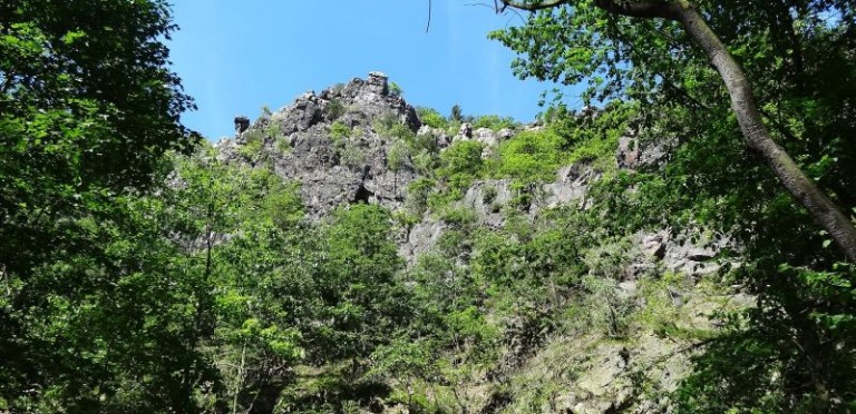 Divoká Šárka