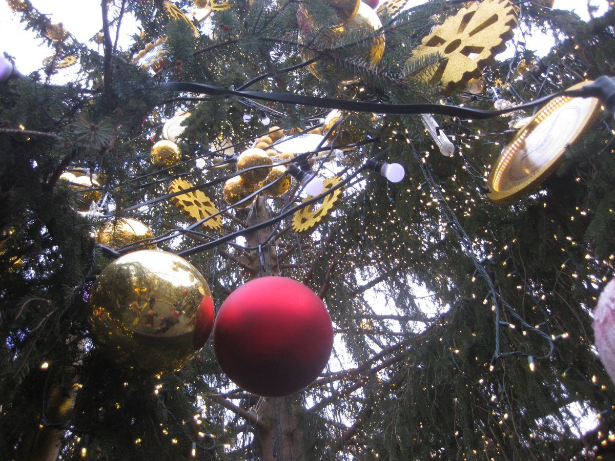 První vánoční stromek v Praze